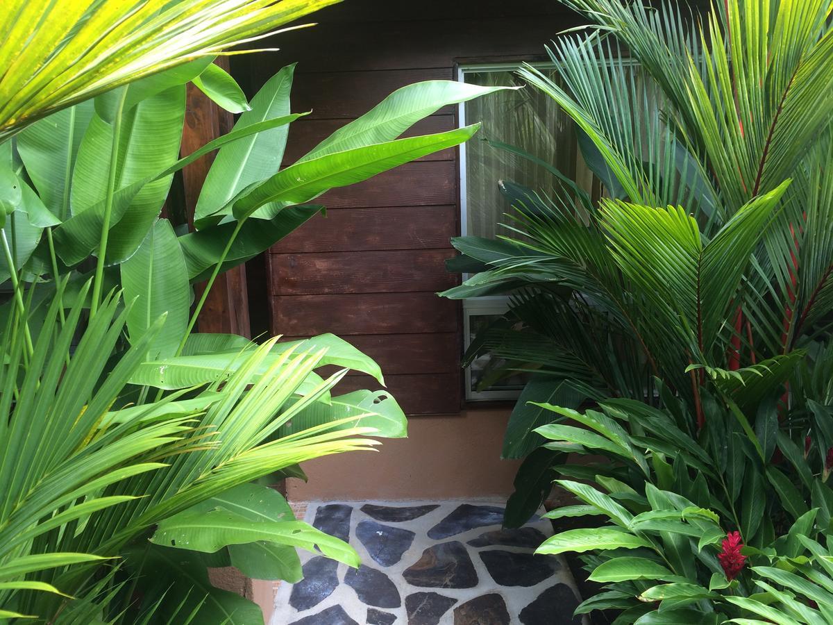 Mussaenda, Arenal Otel La Fortuna Dış mekan fotoğraf
