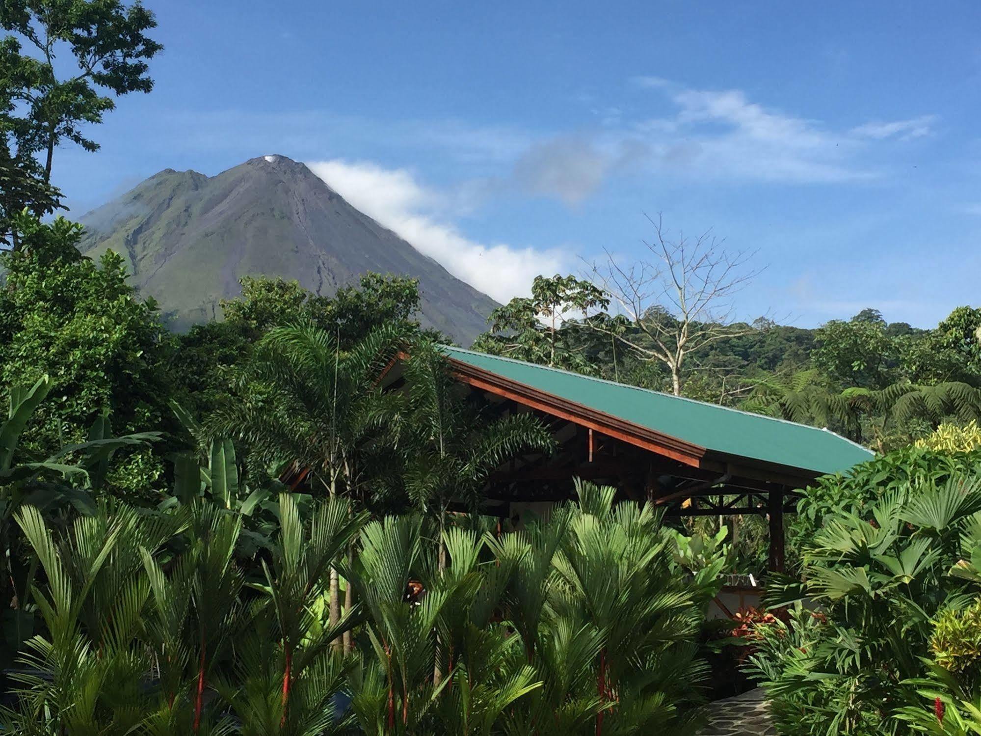 Mussaenda, Arenal Otel La Fortuna Dış mekan fotoğraf