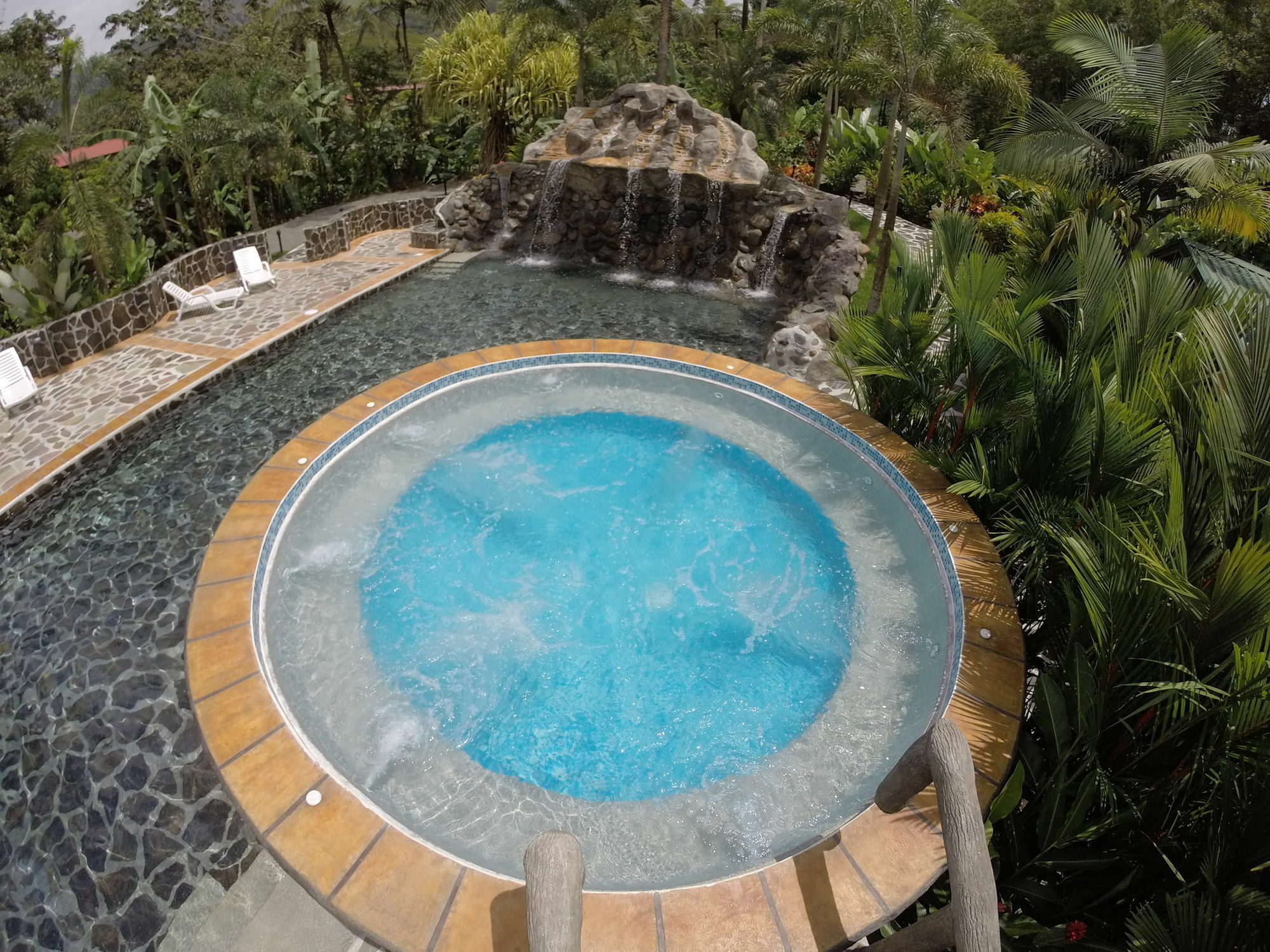 Mussaenda, Arenal Otel La Fortuna Dış mekan fotoğraf
